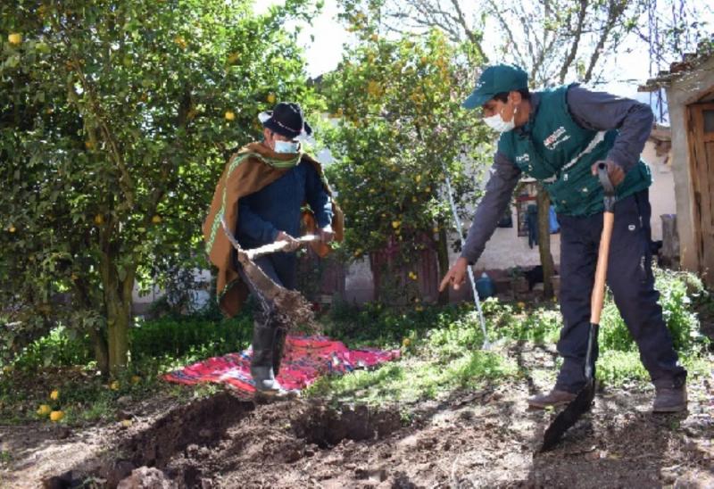 Senasa emprende control de mosca de la fruta en 229.150 hectáreas hortofrutícolas