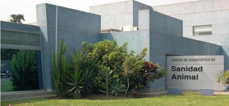 SENASA ESTABLECE REQUISITOS SANITARIOS A IMPORTACIÓN DE MERCANCÍAS PECUARIAS