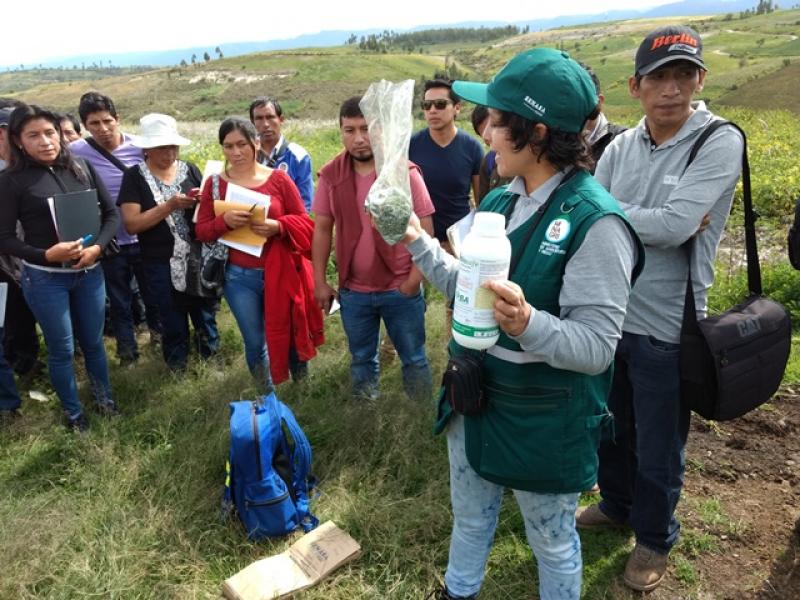 Senasa realiza acciones de prevención y monitoreo para evitar contaminación por plaguicidas en productos agropecuarios