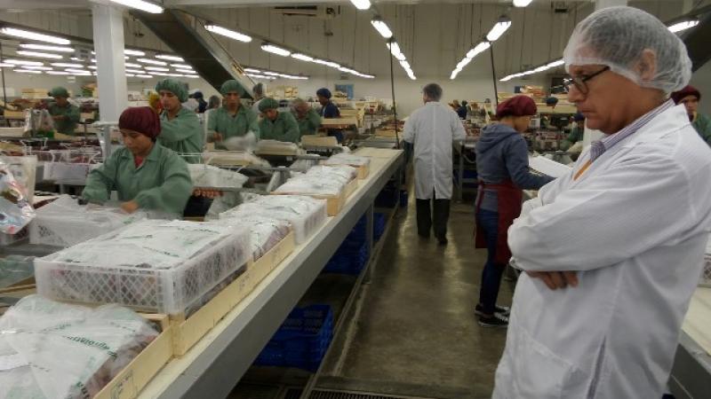 SENASA Y FDA INSPECCIONAN 64 ESTABLECIMIENTOS EN PERÚ PARA GARANTIZAR INOCUIDAD AGROALIMENTARIA