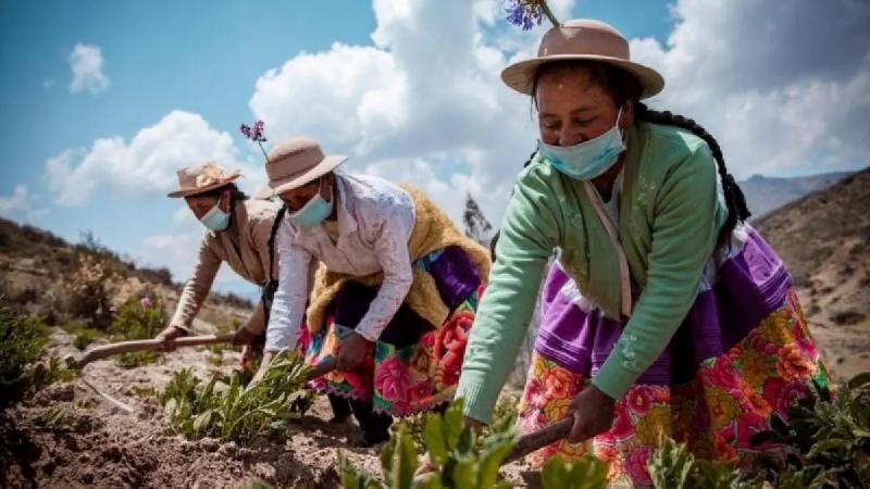 Servicios del Midagri impulsan el desarrollo de miles de madres productoras del campo