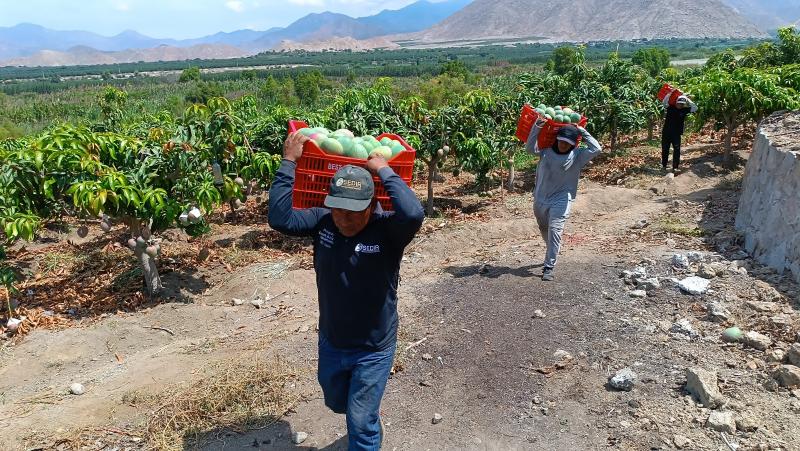 “Si el gobierno se enceguece por las cifras de la agroexportación, vamos mal”