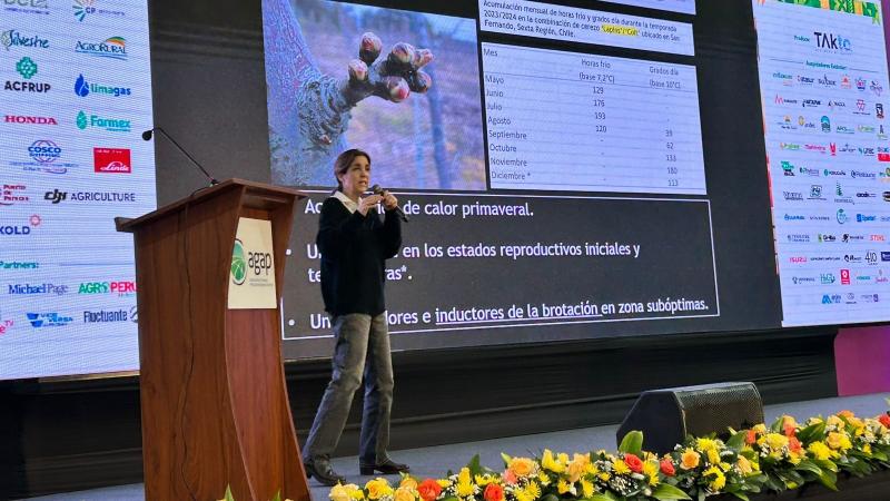 “Si el Perú quiere embarcarse en la producción cerezos, debe elegir el área más apropiada para su cultivo”