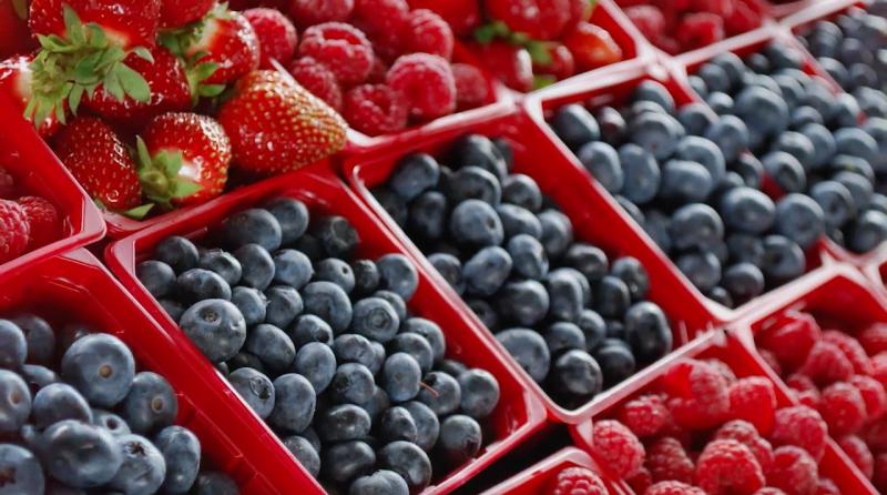 Sierra y Selva Exportadora organiza “VIII Seminario Internacional de Berries” en cuatro regiones