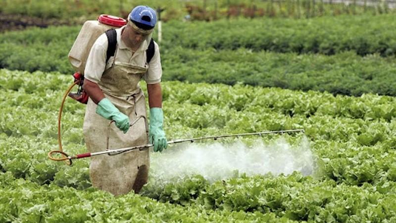 SNI advierte sobre graves riesgos por proliferación de plaguicidas ilegales para el sector agrícola