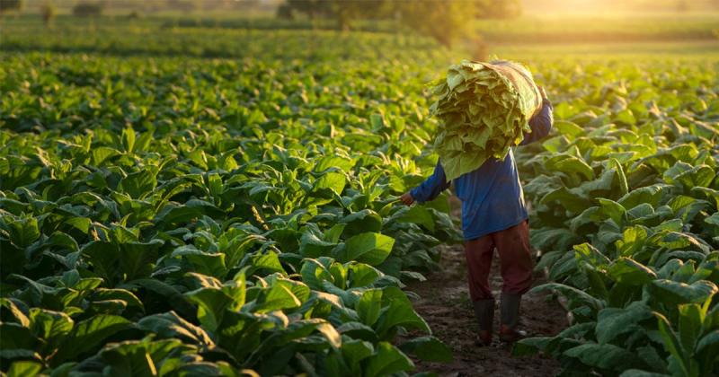 Sobre las Crisis, los Estados y la Resiliencia Agraria