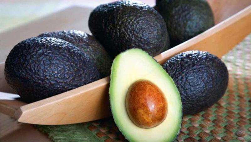 Sobreoferta de palta en Europa continuará hasta fines de agosto