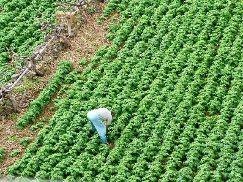 SOLO PAGARÍAN EL 0.5% DEL VALOR DE SUS TIERRAS