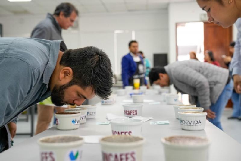 Subastarán cafés especiales del Alto Huallaga en Expo Amazónica 2023