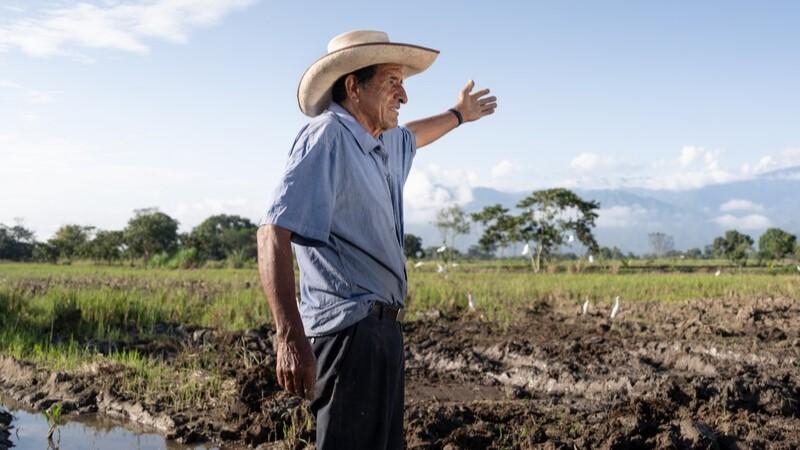 Syngenta fortalece acciones de la industria agroalimentaria en materia ambiental