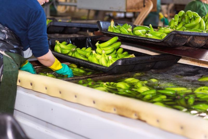 Tecnología en contenedores asegura inocuidad de los alimentos