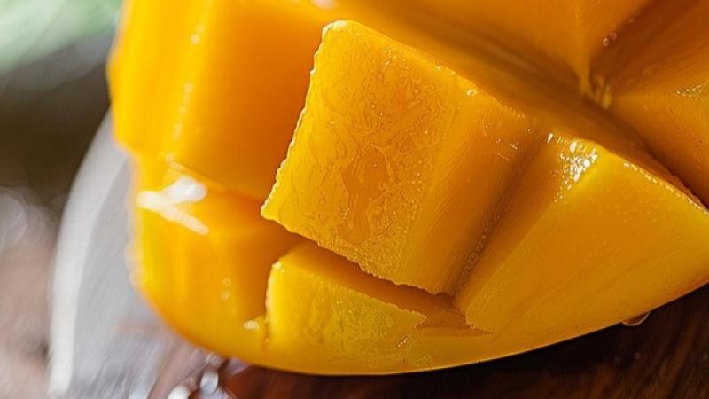 Tendencias sobre la comercialización y distribución de la industria del mango en 2026