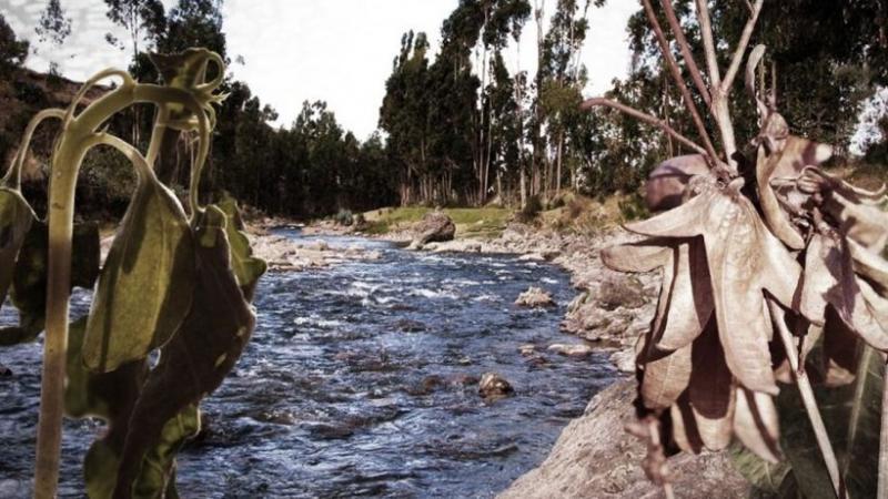 Terminó la temporada de lluvias… ¿y ahora?