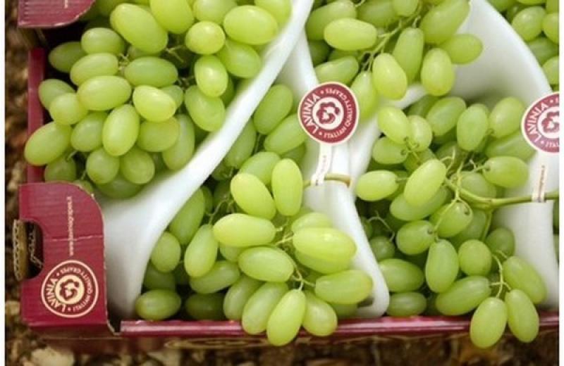 "Todas las uvas peruanas que llegan se venden casi inmediatamente"