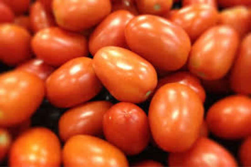 TOMATE PERUANO SE VENDE EN BOLIVIA A LA MITAD DEL PRECIO DEL PRODUCTO LOCAL