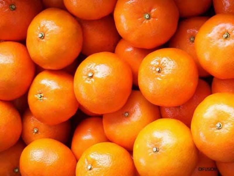 Tras un mal año, el 2024 luce prometedor para la mandarina