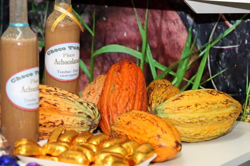 TRES MUESTRAS DE CACAO PERUANO FUERON SELECCIONADAS ENTRE LAS 50 MEJORES DEL MUNDO