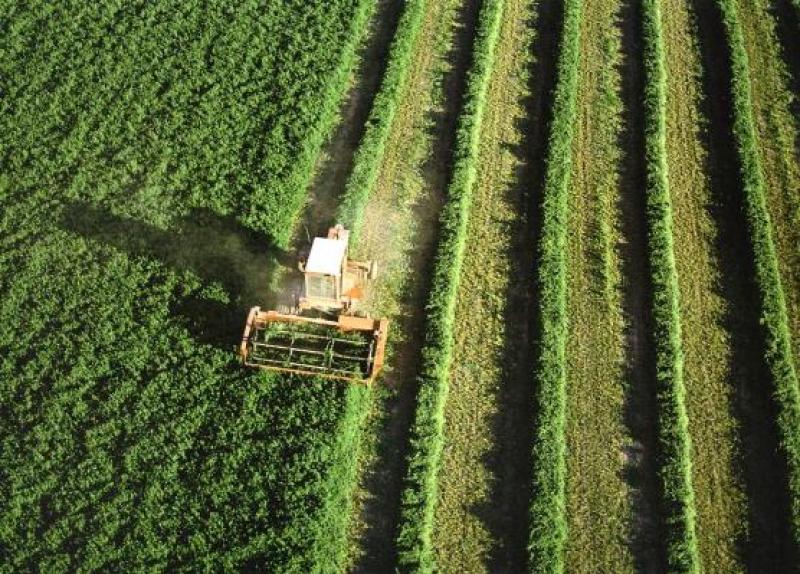 UE LLEGA A ACUERDO SOBRE LA REFORMA DE LA POLÍTICA AGRÍCOLA COMÚN