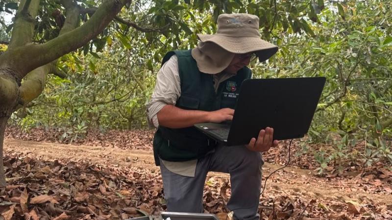 UNALM: drones e inteligencia artificial para optimizar riego y fertilización en cultivos de palto