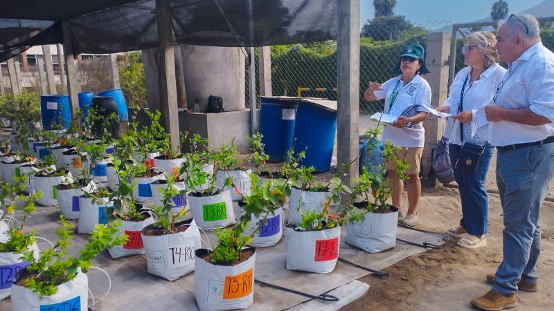 Universidad Nacional Agraria La Molina impulsa la innovación y el desarrollo tecnológico a través de INNOVAGRUM