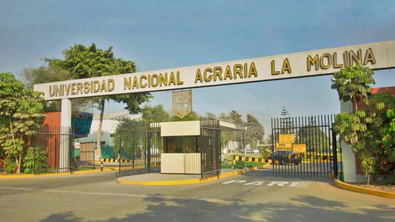 Universidad Nacional Agraria La Molina realiza convocatoria a concurso público para nombramiento de docentes