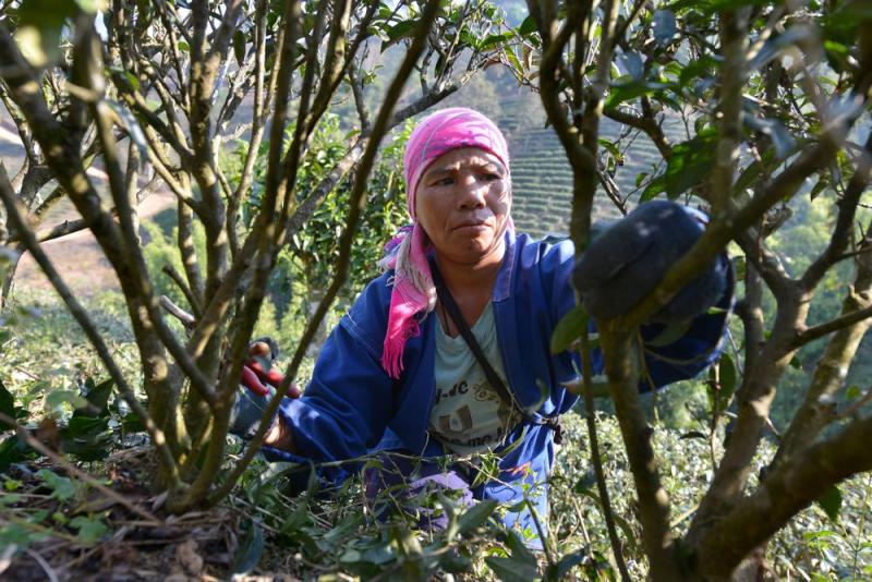 Urgen mejoras en acceso a la tierra, al agua y de conectividad para cerrar brechas de género que afectan la seguridad alimentaria en las Américas