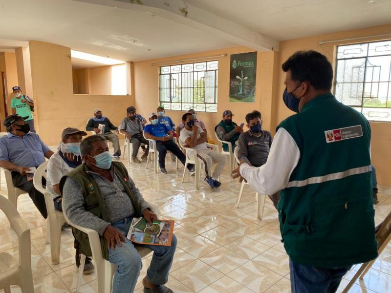 Valle de Chicama se une por la erradicación de las moscas de la fruta