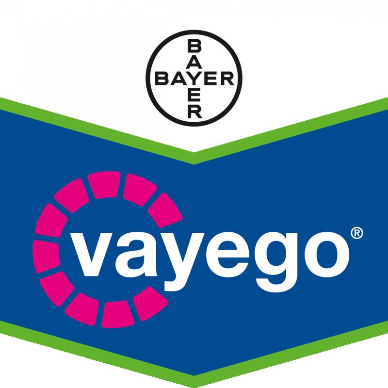 VAYEGO®: Completo, potente, rápido