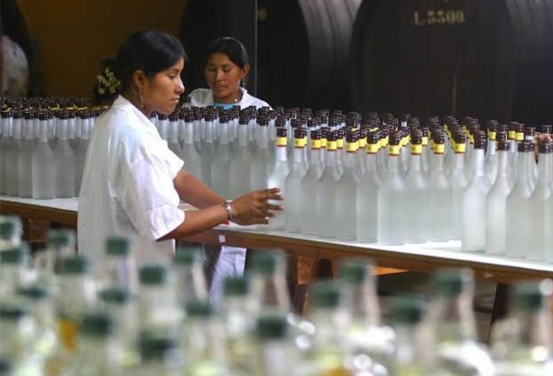 Ventas totales de pisco sumaron 6.7 millones de litros entre enero y noviembre del 2021, registrando crecimiento de 53.2%