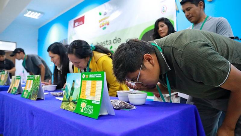 Vraem: Cafetaleros promovidos por Devida destacan en subasta de cafés especiales