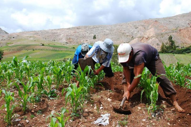 ¿Y la pobreza en la agricultura?