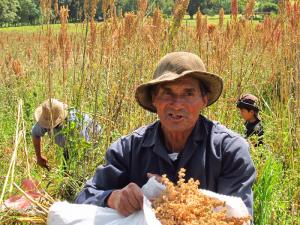 “ANDES PERUANOS SE HAN CONVERTIDO EN BOUTIQUE DE ALIMENTOS GOURMET” 