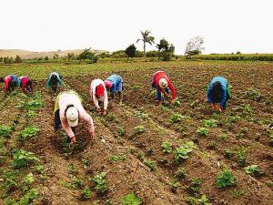 “EL MINAGRI YA ESTÁ UTILIZANDO LOS DATOS DEL CENAGRO”