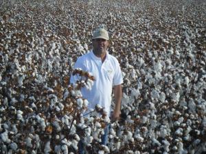 “LA LEY DE MORATORIA DEBERÍA PERMITIR UNA TOLERANCIA DE ENTRE  1.5%  Y 2% DE PRESENCIA NO INTENCIONAL TRANSGÉNICA”