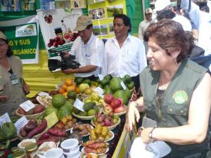 “PRESUPUESTO DE AGRORURAL PARA ESTE AÑO ES DE S/. 113 MILLONES”