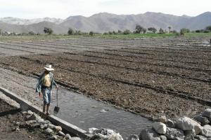 “PROYECTO PAMPAS VERDES NO EXISTE NI COMO LÍNEA BASE”