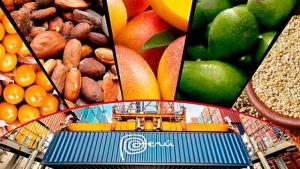 18 regiones aumentaron sus envíos a mercados internacionales en estos primeros ocho meses