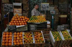 269 MIL TM DE FRUTAS PRODUCIDAS POR  AGRICULTURA MODERNA INGRESARON A LIMA