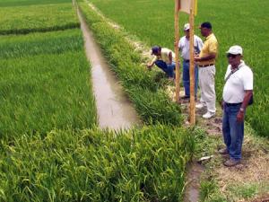 60 PROYECTOS MÁS SERÁN APROBADOS POR EL PROGRAMA MI RIEGO HASTA DICIEMBRE