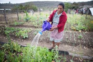 79 DE 100 MUJERES DEL ÁREA RURAL CUENTAN CON SEGURO DE SALUD