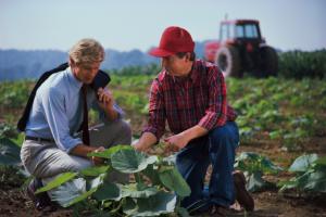 8 RAZONES DE POR QUÉ LAS CARRERAS AGRÍCOLAS SE NECESITAN MÁS QUE NUNCA