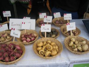 A la fecha Perú produjo 20.710 toneladas de maca