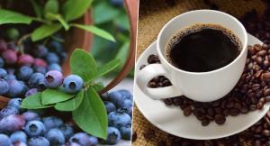 A octubre, agroexportaciones representan el 15.56% del total de las exportaciones