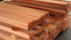 A pesar de que la Amazonía peruana ocupa el 61% del territorio nacional, su contribución al PBI es menor al 1%