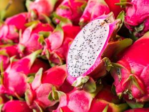 ADEX: pitahaya tiene potencial exportador