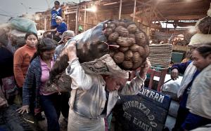 Adiós a los sacos de papas de más de 50 kilos