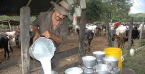 AGALEP SOLICITA CREAR PROGRAMA QUE REACTIVE PRODUCCIÓN DE LECHE