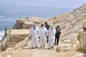 Agro Rural distribuirá 3.883 toneladas de guano para pequeños productores