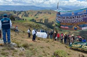 Agro Rural inicia Campaña de Forestación 2022 con siembra de 5.000 plantones