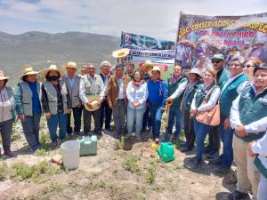 Agro Rural realiza siembra de 13 mil plantones en áreas de cultivo afectadas por incendio en Polobaya